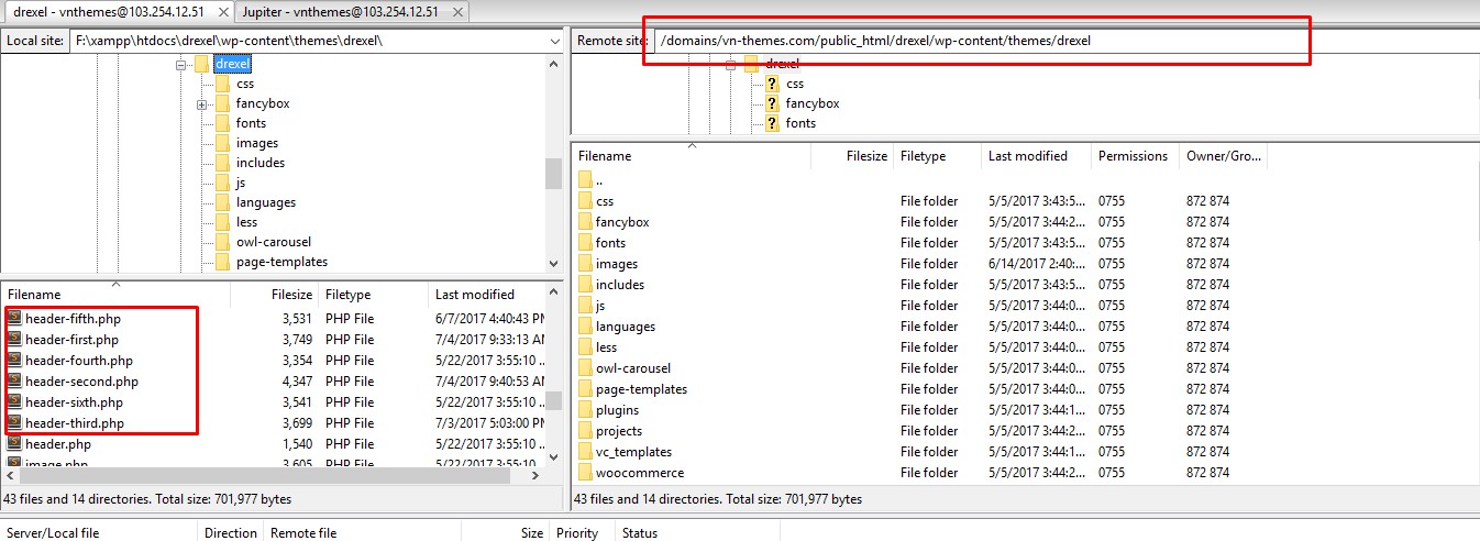 Header Customization