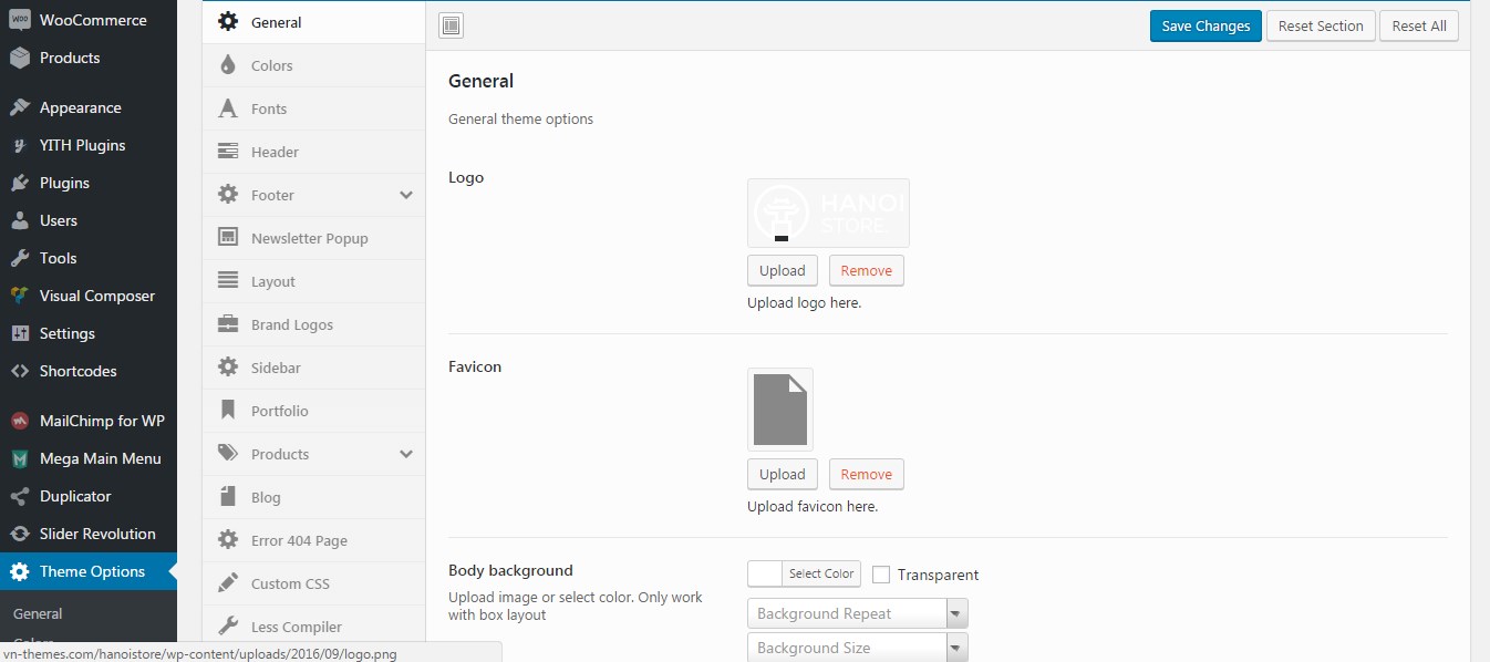 Theme Options