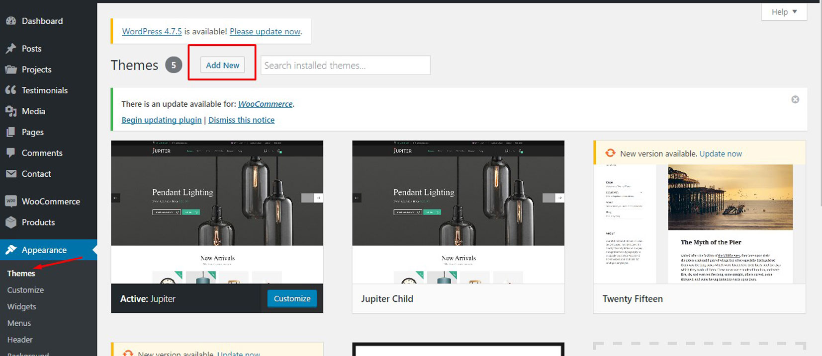 WordPress Installation