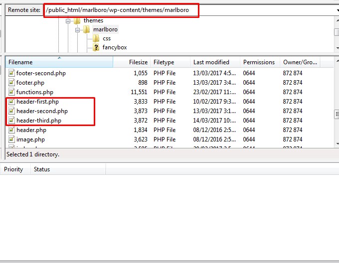 Header Customization