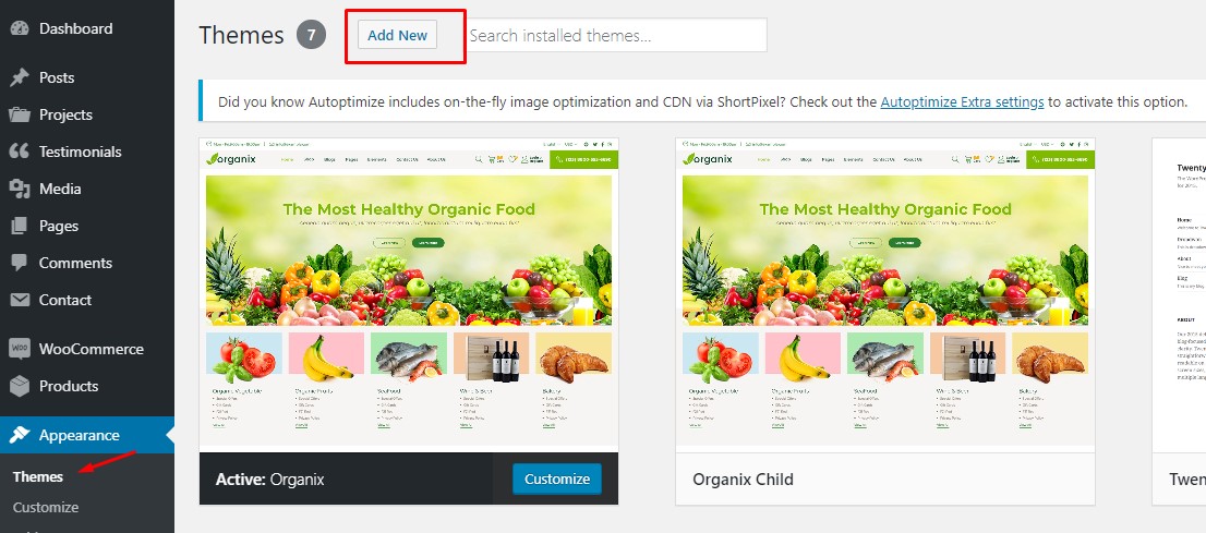 WordPress Installation